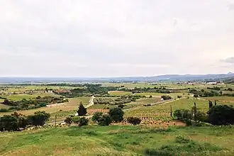 Image illustrative de l’article Languedoc Montpeyroux