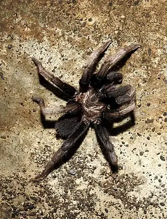 Description de cette image, également commentée ci-après