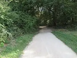 Fin du revêtement à l'entrée dans le bois de Granville à Limeil-Brévannes