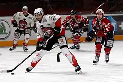 Photographie couleur de Bernier