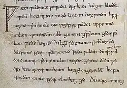 Une page de manuscrit portant neuf lignes de textes en lettres minuscules noires. La première lettre est un grand Ƿ (wynn) dont la hampe est légèrement décorée.