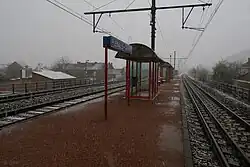 Quai central et les trois voies.