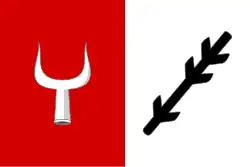 Drapeau de Částkov