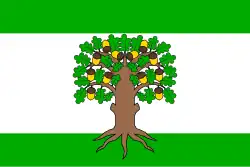 Drapeau de Český Dub