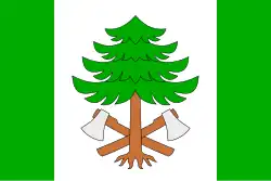 Drapeau de Říčky v Orlických horách