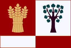 Drapeau de Bařice-Velké Těšany