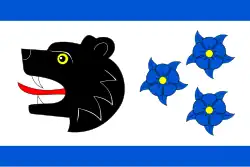 Drapeau de Bartošovice v Orlických horách