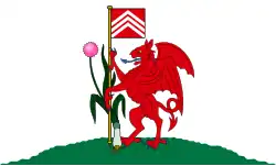 Drapeau de Cité et comté de Cardiff / Caerdydd