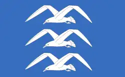 Drapeau de Haugesund