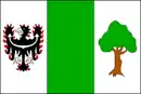 Drapeau de Horní Lideč