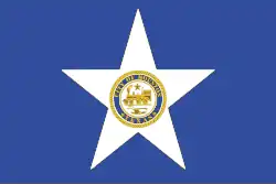 Drapeau de Houston
