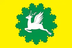 Drapeau de Raïon d'Ibresi