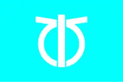 Drapeau de Ichikawadaimon-chō