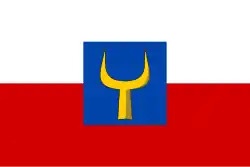 Drapeau de Jablonné v Podještědí