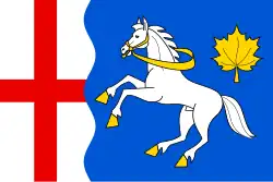Drapeau de Javornice