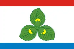Drapeau de Raïon de Krasnozamensk