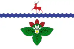 Drapeau de Kstovo