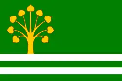 Drapeau de Lužec nad Cidlinou