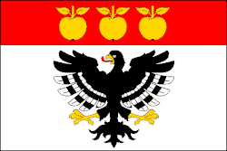 Drapeau de Nechvalice