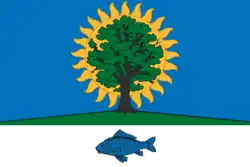Drapeau de Novomitchourinsk