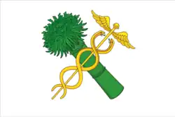 Drapeau de Novozybkov