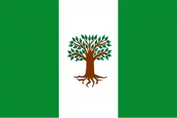 Drapeau de Pachavita