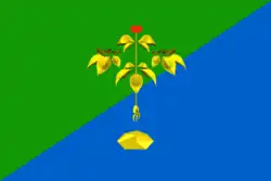 Drapeau de Okroug urbain de Partizansk