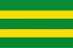 Drapeau de Puente Nacional