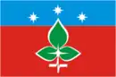 Drapeau de Pouchtchino