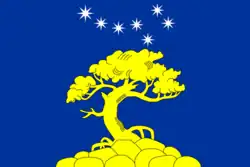 Drapeau de Pyaozerskycarélien:Pääjärvi