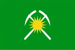 Drapeau de Raïtchikhinsk