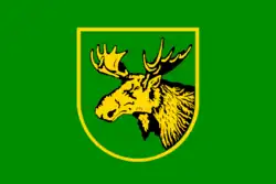 Drapeau de Raïon de Slavsk