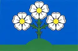 Drapeau de Staré Hobzí