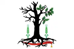 Drapeau de Raïon de Starodoub