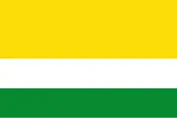 Drapeau de Valle de San Juan