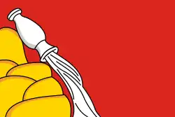 Drapeau de l'oblast de Voronej