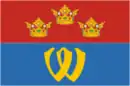 Drapeau de Raïon de Vyborg