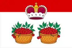 Drapeau de Raïon d'Iouriev-Polski