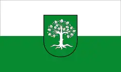 Drapeau de Bocholt