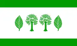 Drapeau de Buchholz