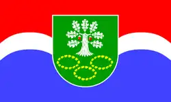 Drapeau de Högsdorf