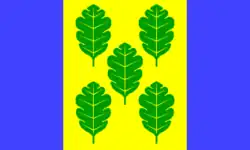 Drapeau de Nehmten