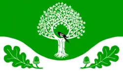 Drapeau de Süderheistedt