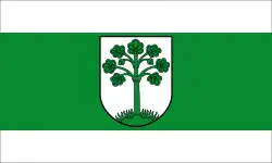 Drapeau de Telgte