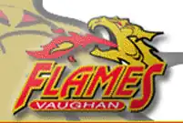 Description de l'image Flames de Vaughan.jpg.