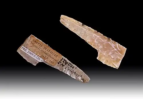 Fragment de pointe à cran solutréenneMuséum de Toulouse