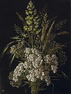 Fleurs de Guipuzcoa.