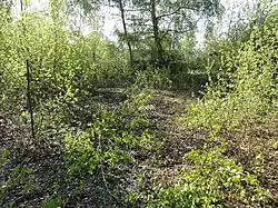 Le puits dans son environnement.