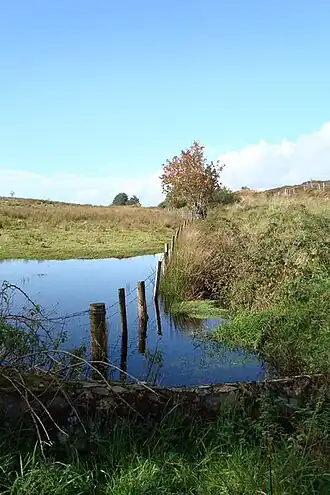 Image illustrative de l’article Famine irlandaise de 1740-1741