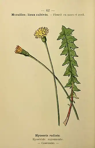 Description de l'image Flore coloriée de poche du littoral méditerranéen de Gênes à Barcelone y compris la Corse (6243944061).jpg.